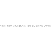RecombiVirus Rat Kilham Virus (KRV) IgG ELISA Kit, 96 tests, Quantitative